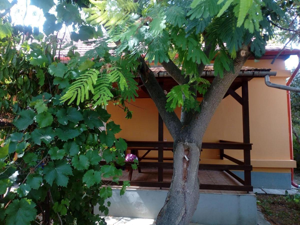Abadi Karmazsin Haz Villa Abádszalók Eksteriør bilde